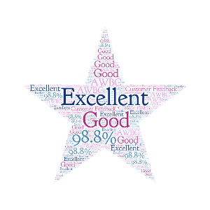 Star shaped Worldcloud with words excellent and good